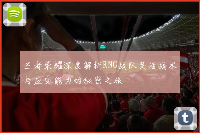 王者荣耀深度解析RNG战队灵活战术与应变能力的秘密之旅