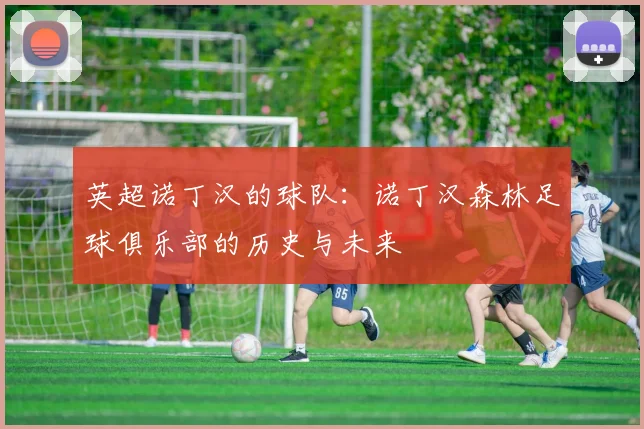英超诺丁汉的球队：诺丁汉森林足球俱乐部的历史与未来